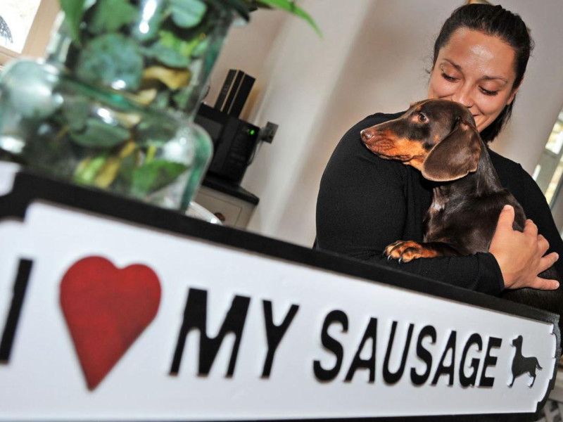 Sausage dog outlet sanctuary